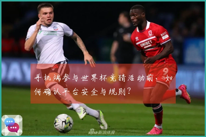 手机端参与世界杯竞猜活动前，如何确认平台安全与规则？