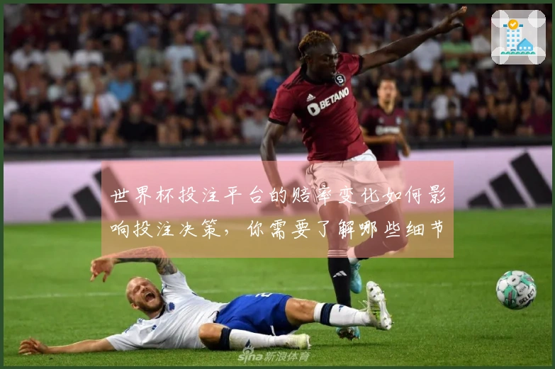 世界杯投注平台的赔率变化如何影响投注决策，你需要了解哪些细节？