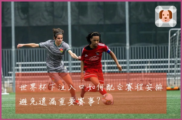 世界杯下注入口如何配合赛程安排避免遗漏重要赛事？
