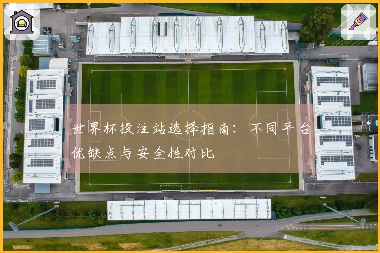 世界杯投注站选择指南：不同平台优缺点与安全性对比