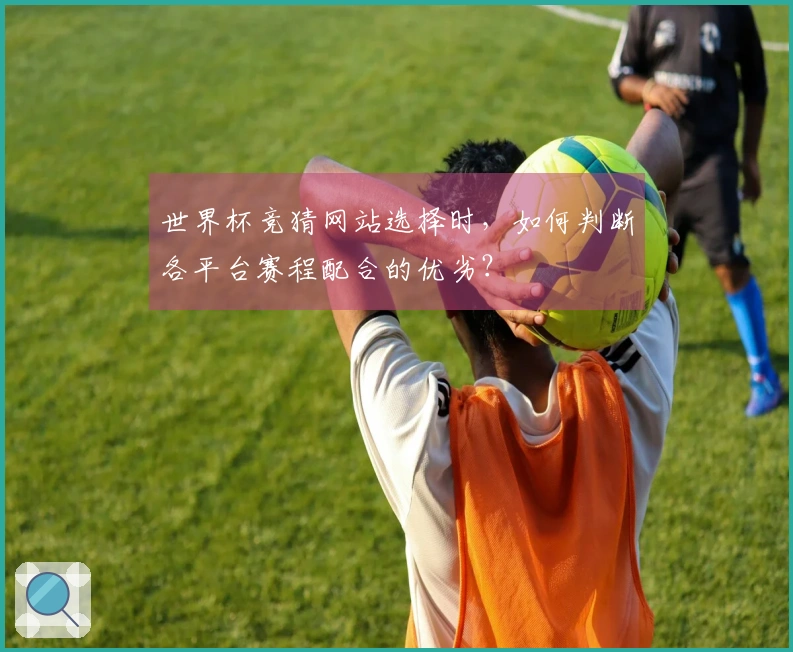 世界杯竞猜网站选择时，如何判断各平台赛程配合的优劣？