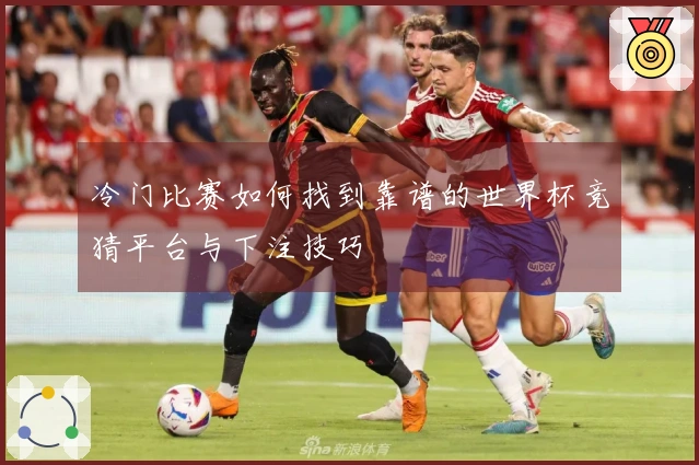 冷门比赛如何找到靠谱的世界杯竞猜平台与下注技巧