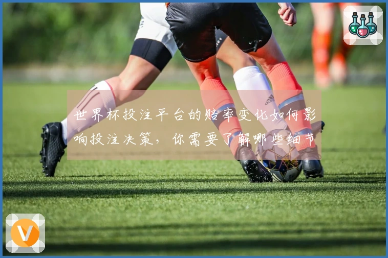 世界杯投注平台的赔率变化如何影响投注决策，你需要了解哪些细节？